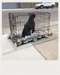 Polish_20251114_145932153