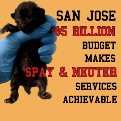 147EF2C8-CA2B-5532-9413E1E750283E6F