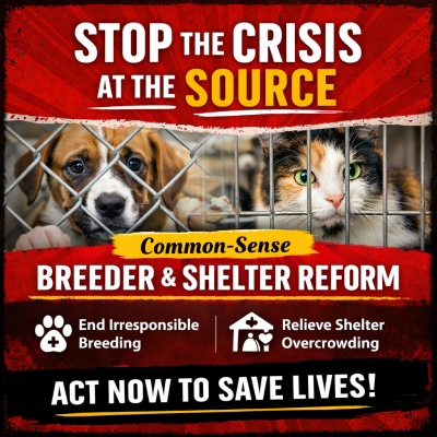 622418364_1976948153704531_1119646099182787845_n