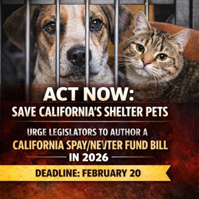 622926012_903789988807664_7733502347887195855_n