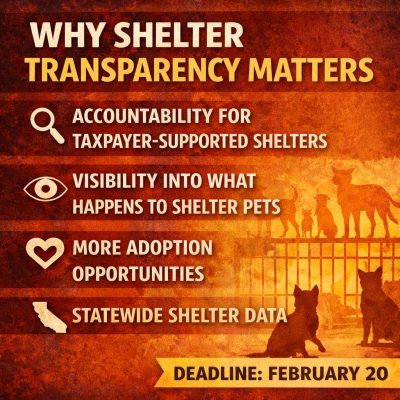 624453796_2084505475679836_1822735671539512176_n