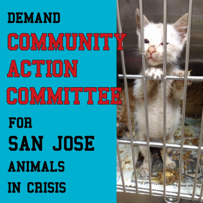 FE270551-F9B8-FC7E-8835331DE5088CD2